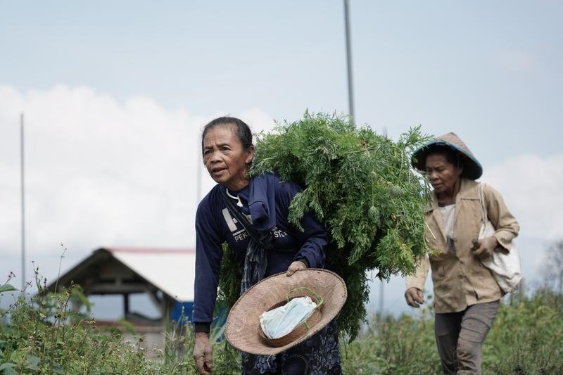 Local farmer in the field